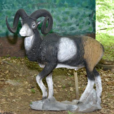  Dsc6504 Kopie
