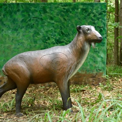  Dsc6510 Kopie