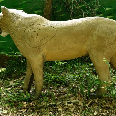  Dsc6726 Kopie