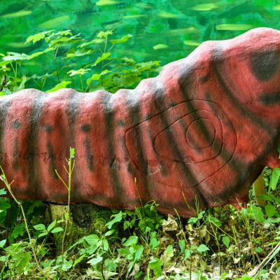  Dsc6763 Kopie