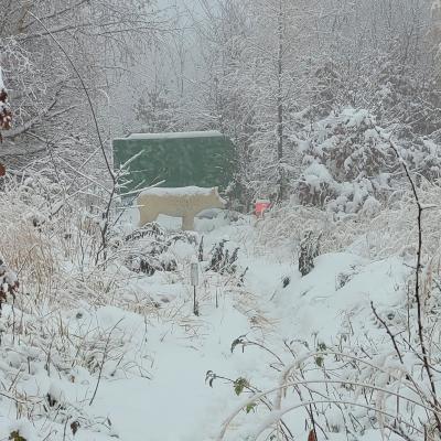 Winterwonderland am Scheiblingstein