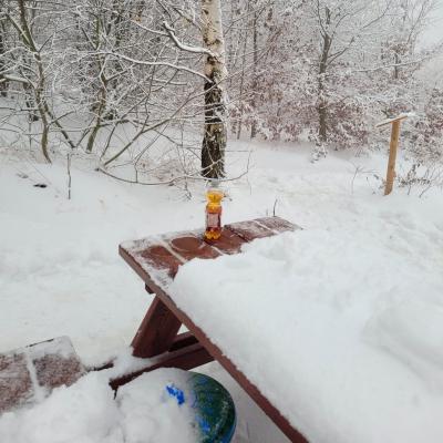 Winterwonderland am Scheiblingstein