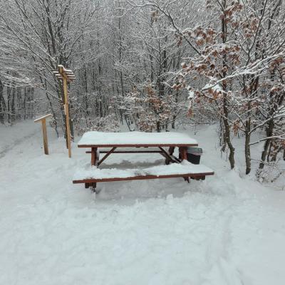 Winterwonderland am Scheiblingstein