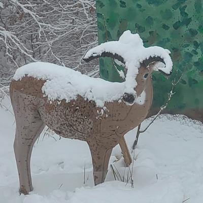 Winterwonderland am Scheiblingstein